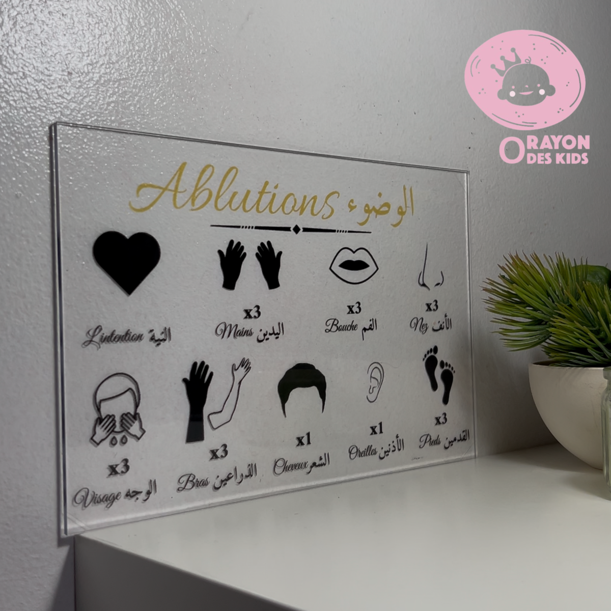 Pack de 8 affiches en plexiglass –  Douaas du quotidien